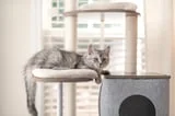 Cozy, Modern Cat Trees That Will Elevate Your Space, We Promise