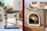 Calling All Cat Ladies! Shop Purrfect Gifts According to Cat Owners